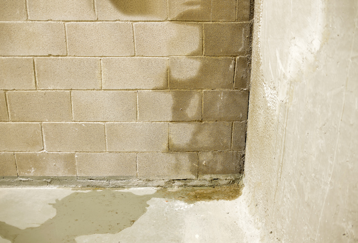 We see water damage on a concrete floor and wall which is located in a customers basement.