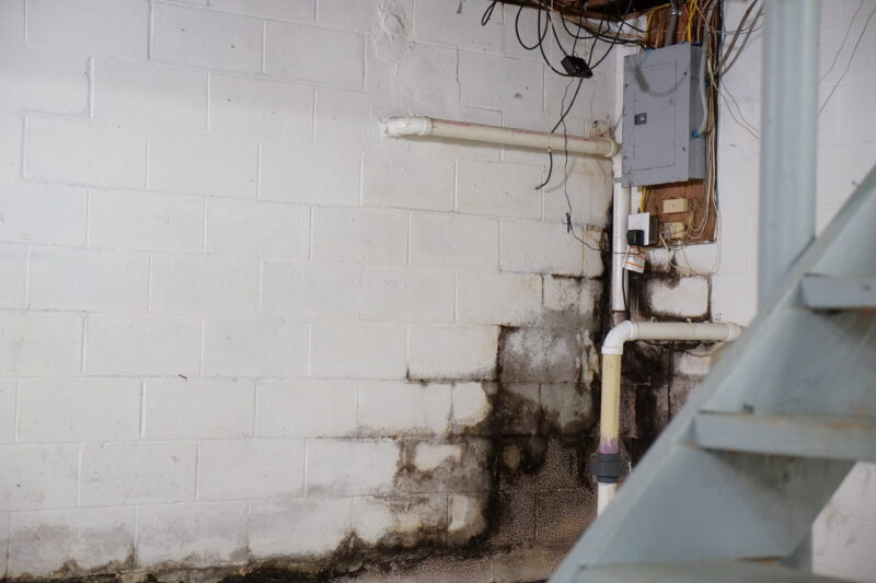 water damaged basement