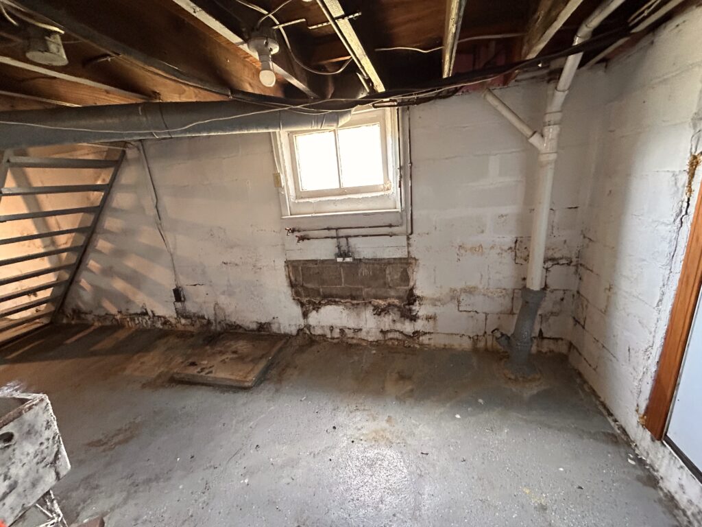 water damaged basement