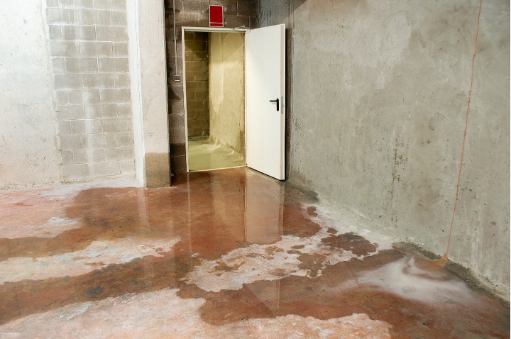 Cement wall basement moisture on floor from summer storm